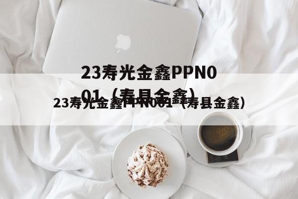 23寿光金鑫PPN001（寿县金鑫）