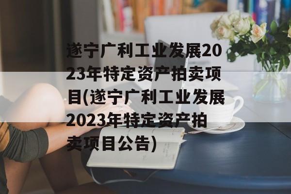 遂宁广利工业发展2023年特定资产拍卖项目(遂宁广利工业发展2023年特定资产拍卖项目公告)