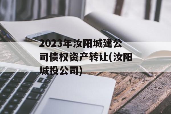 2023年汝阳城建公司债权资产转让(汝阳城投公司)