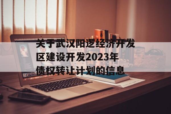 关于武汉阳逻经济开发区建设开发2023年债权转让计划的信息
